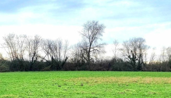 Agence pompe de relevage bussy - 77600 Bussy-Saint-Martin
