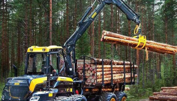 Débardage Bois 23 | Exploitation forestière en Creuse - Aubusson