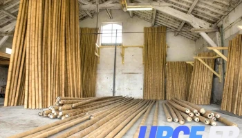 Sas Big Bamboo - 47210 Villeréal