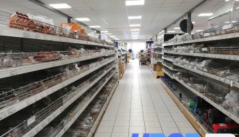 Sisca Sidv Comptoir Professionnel - Saint-Pierre-Du-Mont