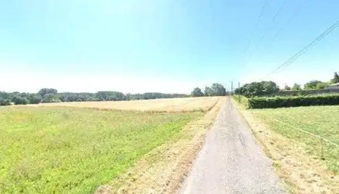 Arcourt Et Fils -  Tout - Pons