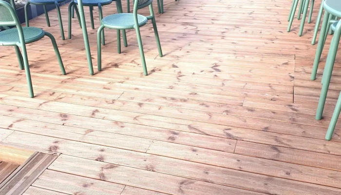Bois de Seine et Marne - 77310 Pringy