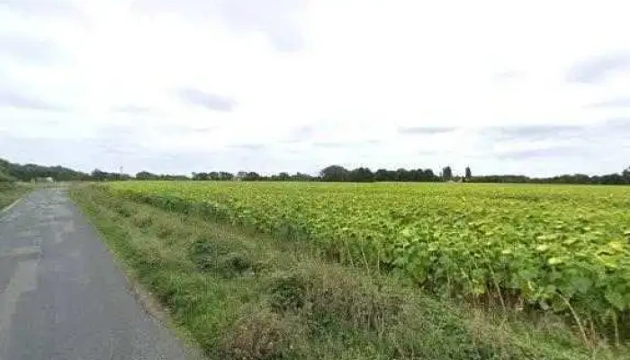 Bois Materiau Distribution Street View Et 360deg - Venansault