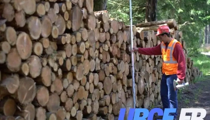 Comptoir des Bois de Brive - Guéret