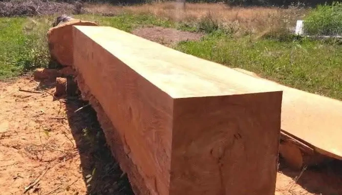 Le Bois scié - Compreignac