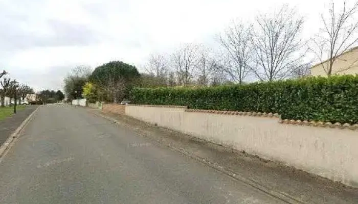 Lepinois -  Bois Tout - Chauray
