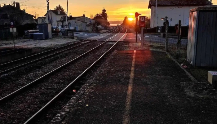 Saint-Médard-de-Guizières - France