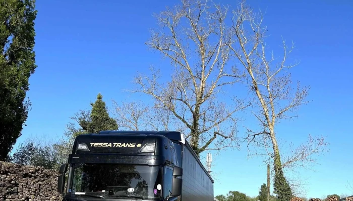 Themier Bois -  Ouvert Maintenant - Saint-trojan-les-bains